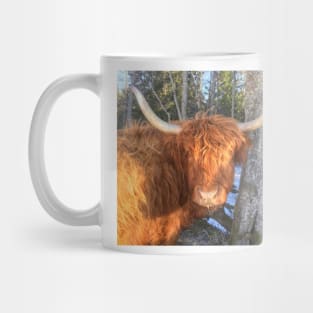 Scottish Highland Cattle Cow 1956 Mug